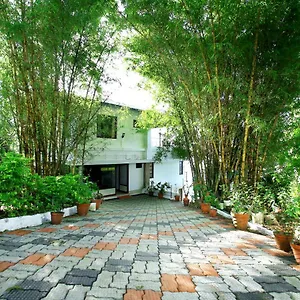 https://green-magic-home.hotels-munnar.com